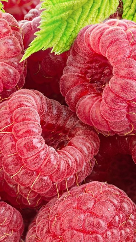 Сочная малина