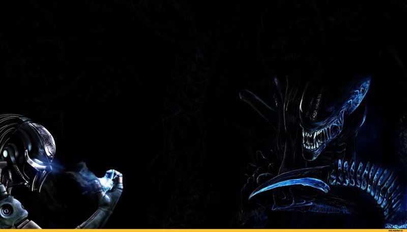 Чужой против хищника 4к