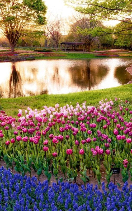 Весна природа