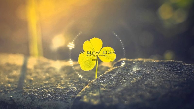 Спокойные обои на рабочий стол