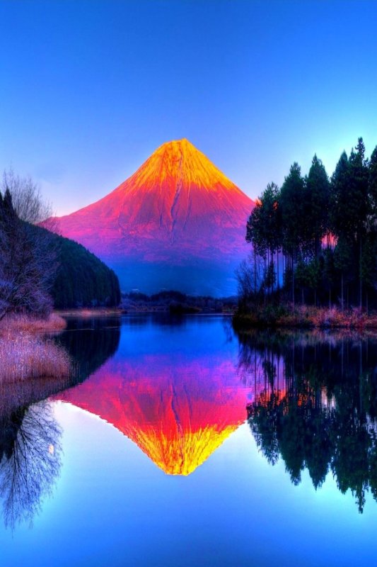 Красота природы