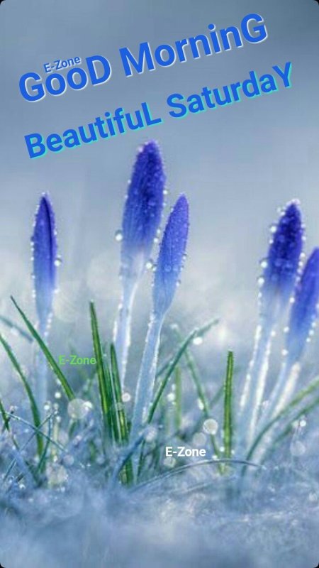 Ранняя Весна капель