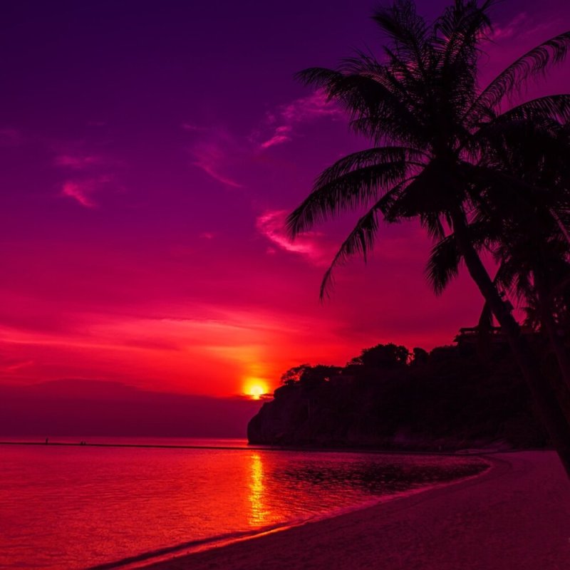 Красивый фиолетовый закат