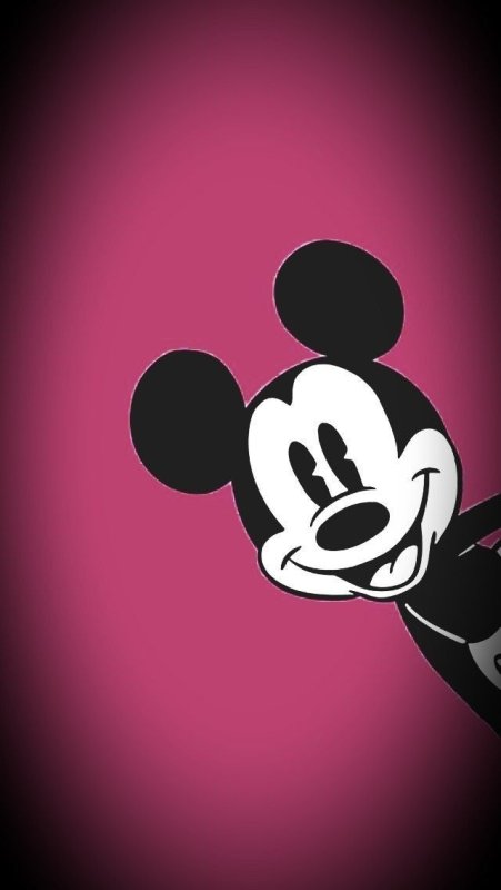 Заставка Микки