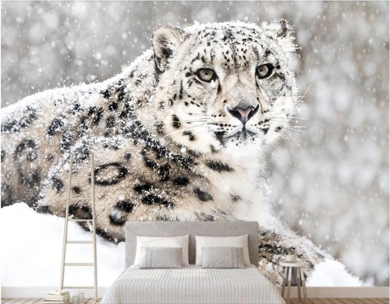Snow Leopard пути