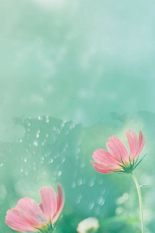 Фон цветочный нежный