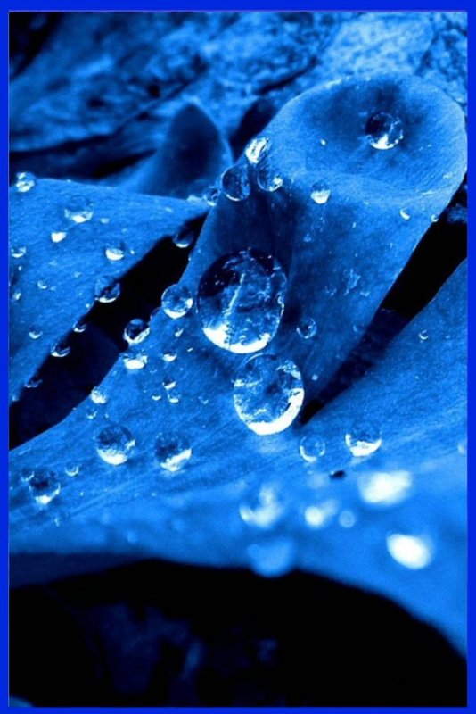 Красивый синий