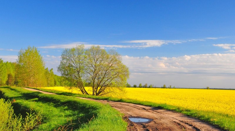 Русская природа