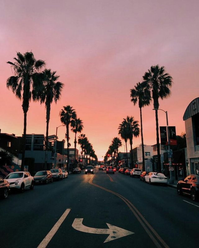 Летний Вайб Лос Анджелес