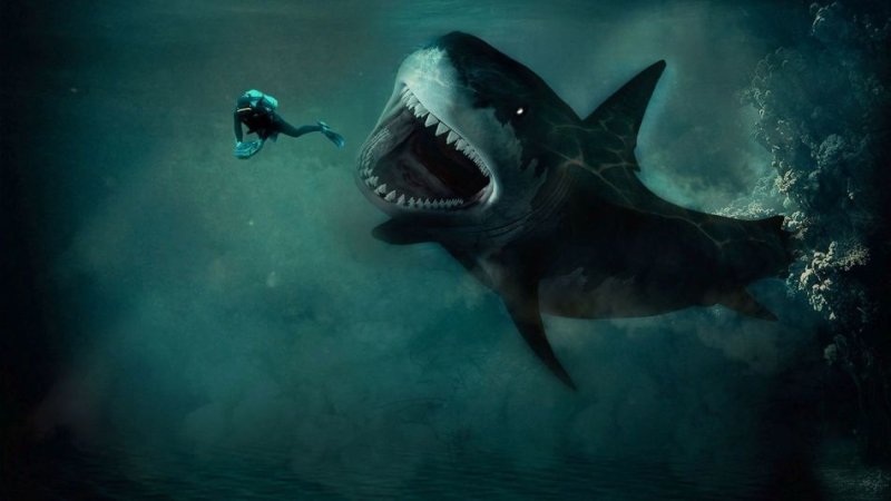 Страшные акулы МЕГАЛОДОН