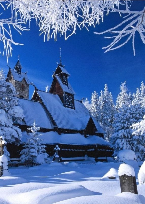 Сказочный зимний лес