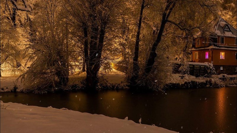 Заснеженный домик в лесу