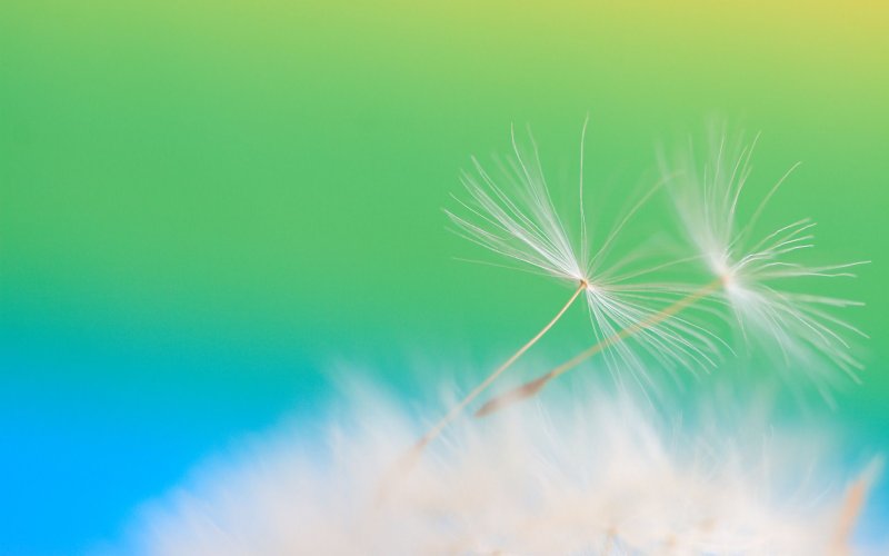 Нейтральные обои на рабочий стол