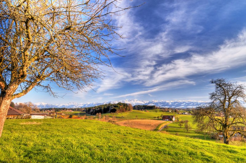 Сельский пейзаж