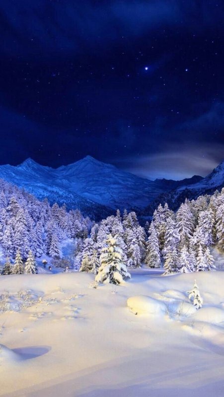 Сказочный зимний лес