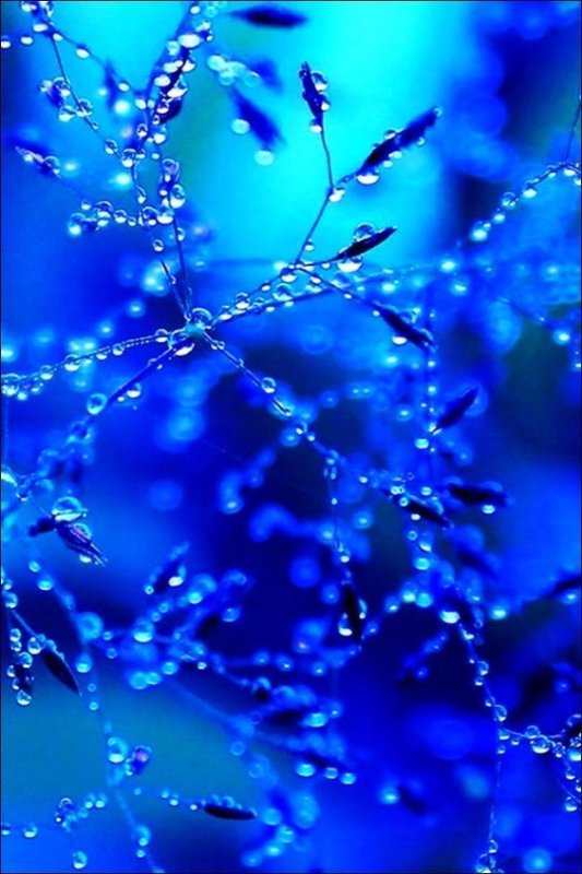 Красивый синий цвет