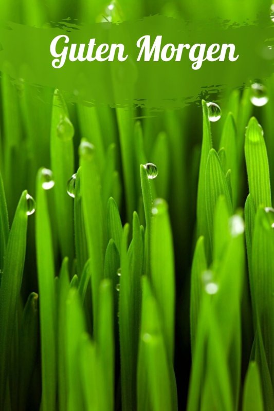 Сочная зелень