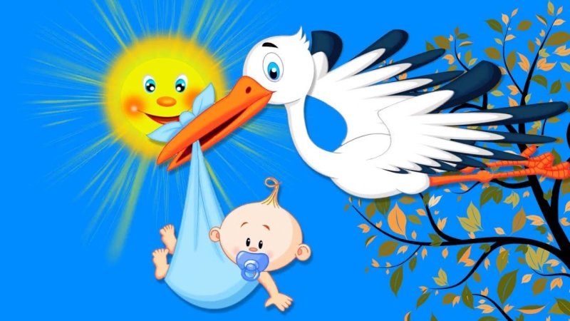 Аист с малышом