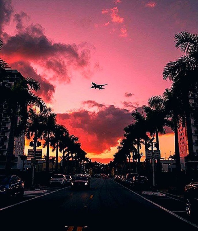 Америка Эстетика Лос Анджелес