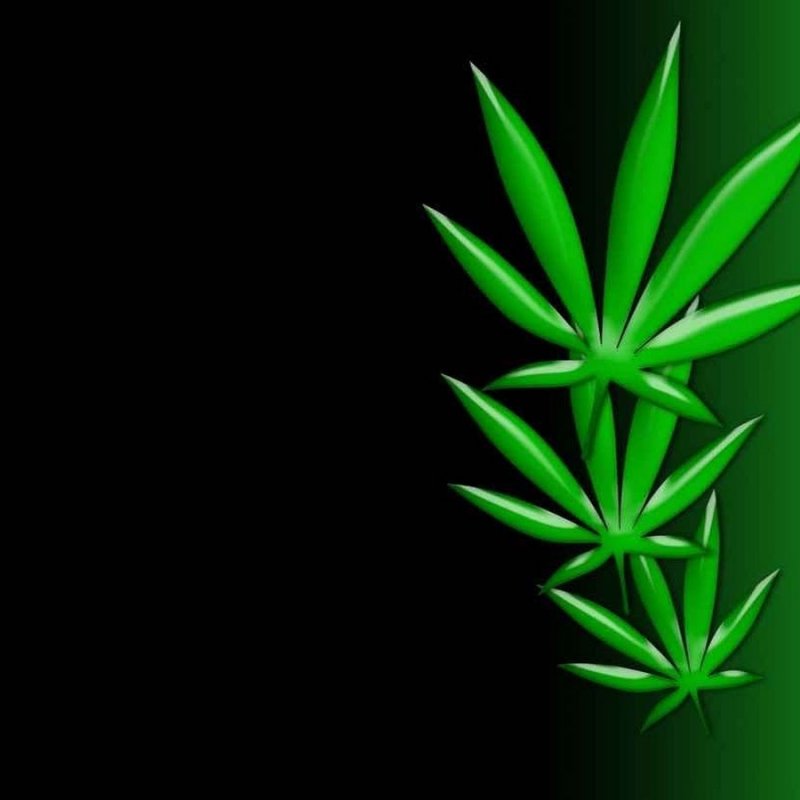 Конопля фон