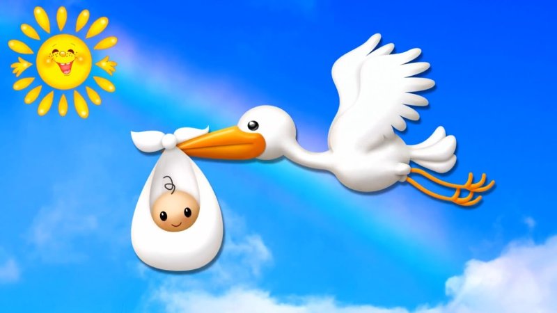 Футаж выписка из роддома для девочки