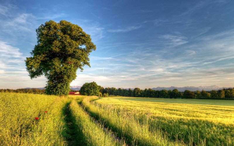 Пейзажи природы