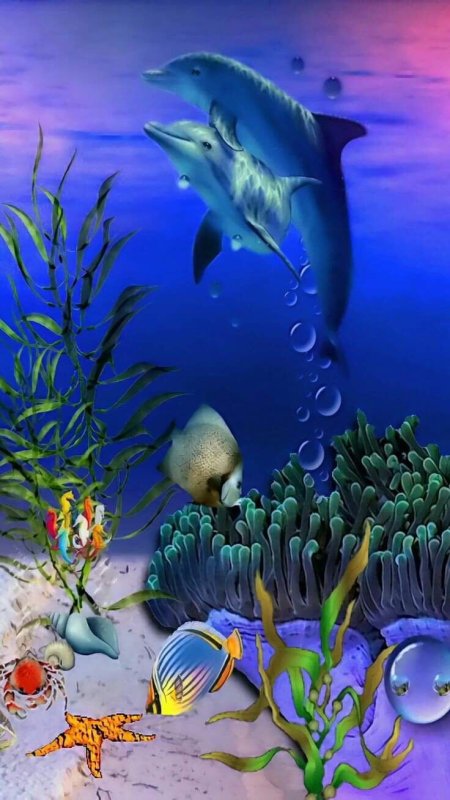 Подводный мир океана