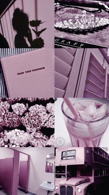 Фиолетовая Эстетика