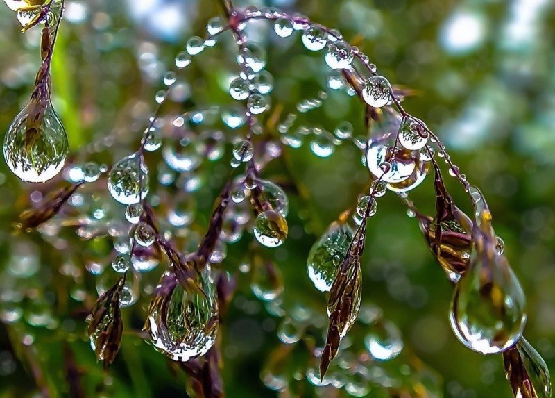 Капли дождя