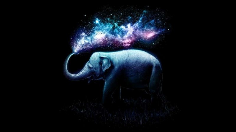 Фон рабочего стола слоны