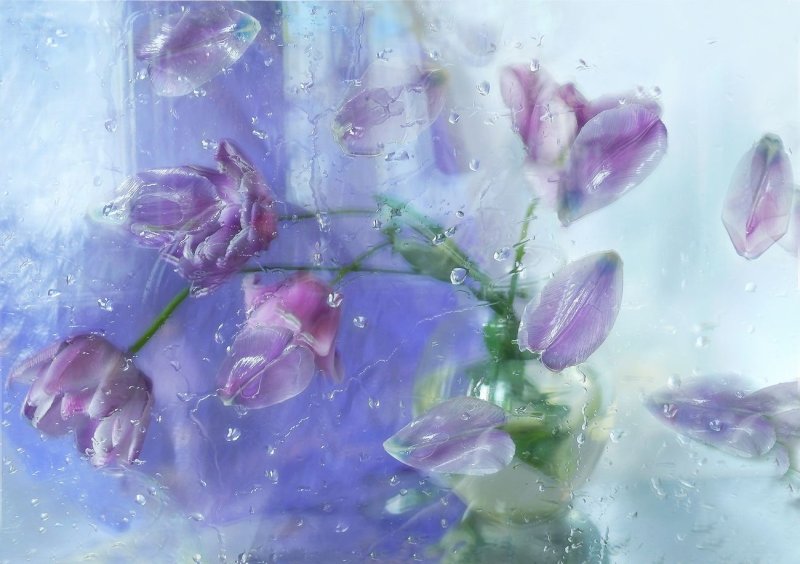 Нежные весенние цветы