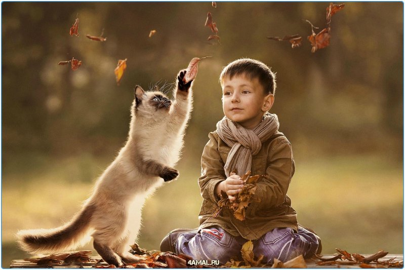 Для детей. Животные