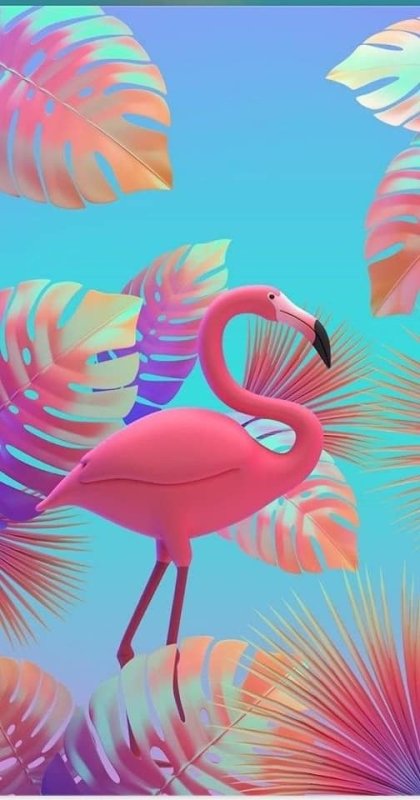 Фон Фламинго