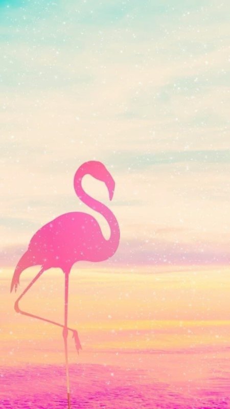 Обои с Фламинго