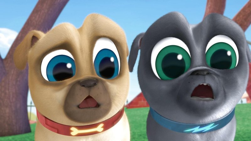 Дружные мопсы Бинго