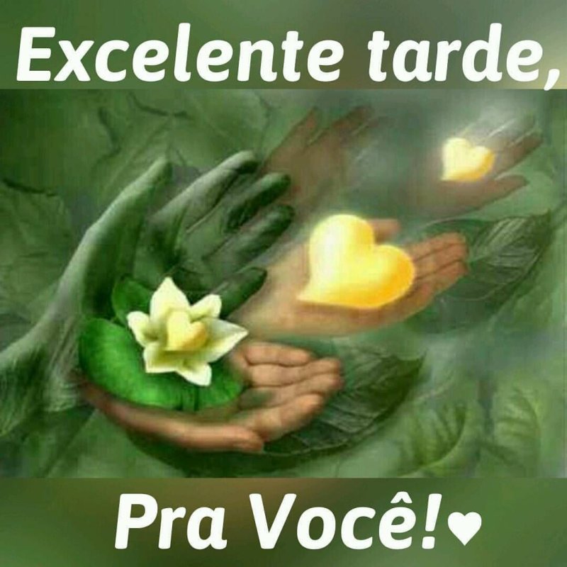 Цветы в ладонях