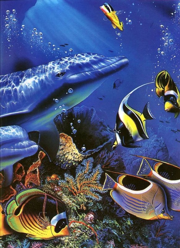 Подводный мир океана