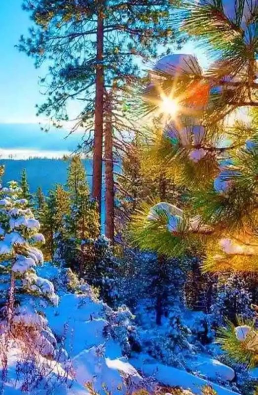 Природа зимой