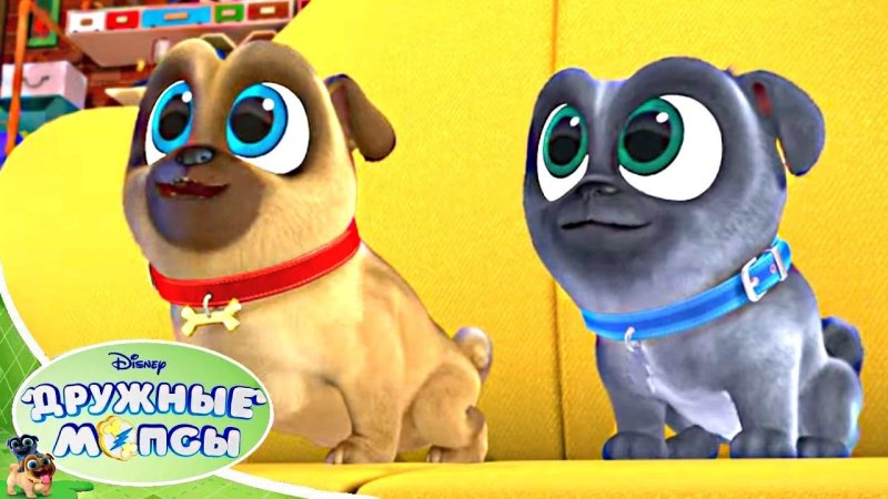 Дружные мопсы Джеки