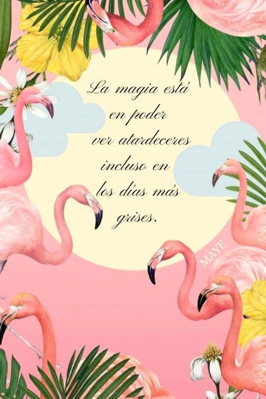 Фламинго и пальмы