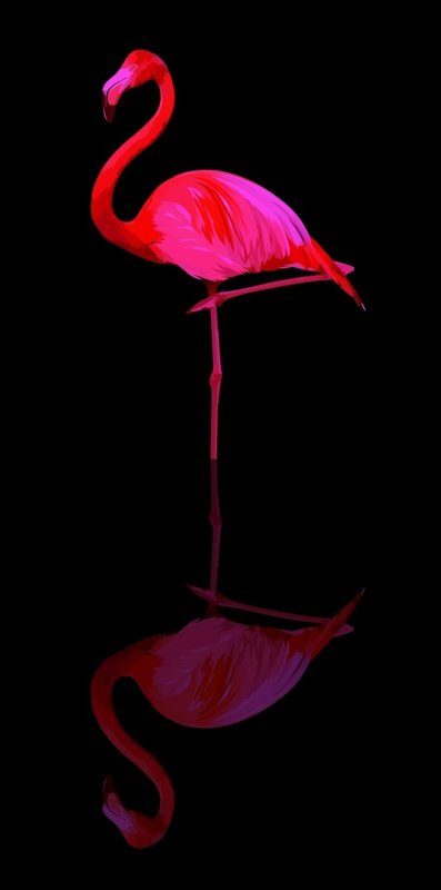 Фламинго аватар