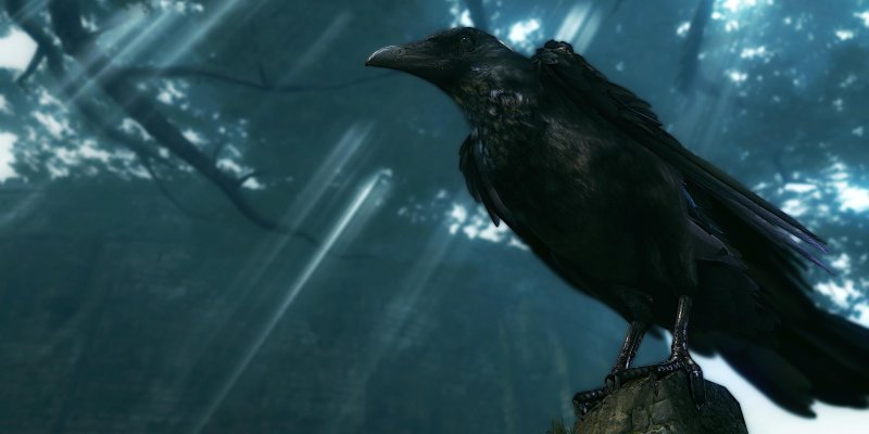 Ворон Гарри Поттер