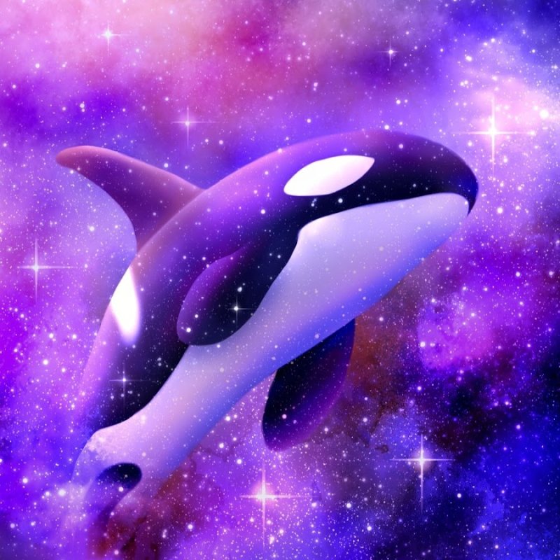 Касатка в космосе