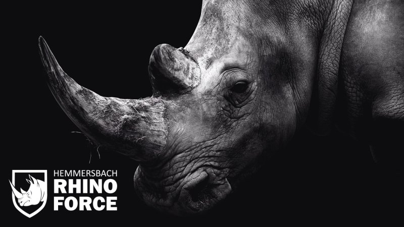 Обои на рабочий стол носорог