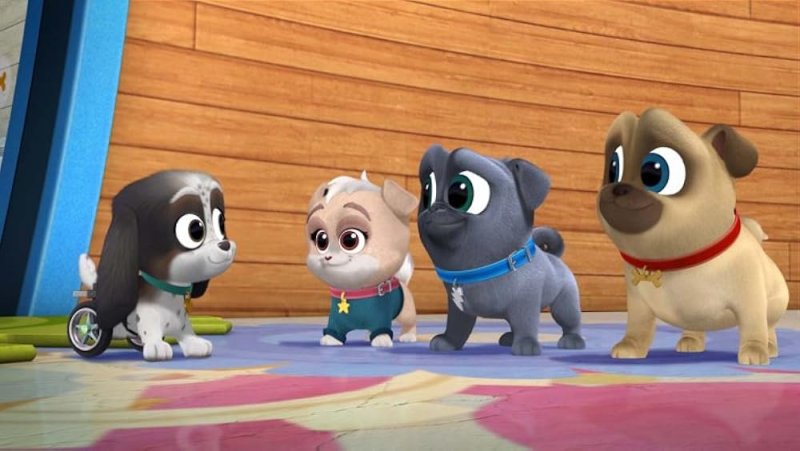 Дружные мопсы Лолли