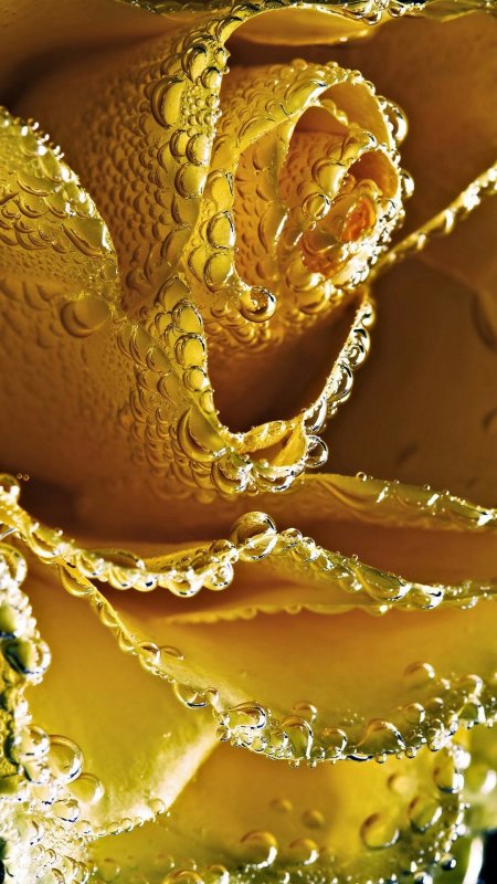 Красивые картинки