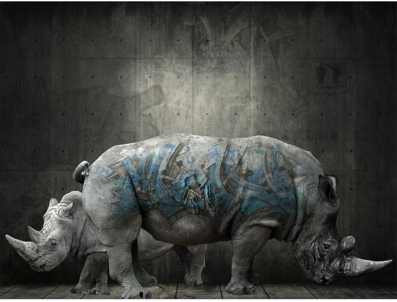 Злой носорог