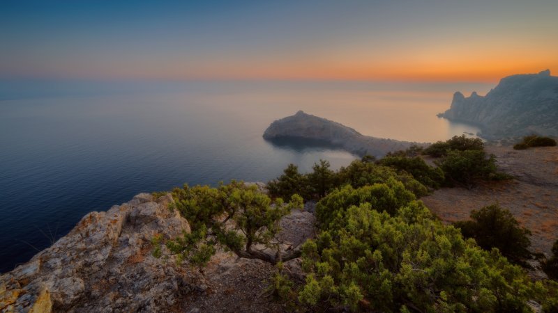 Сосна мыс Капчик