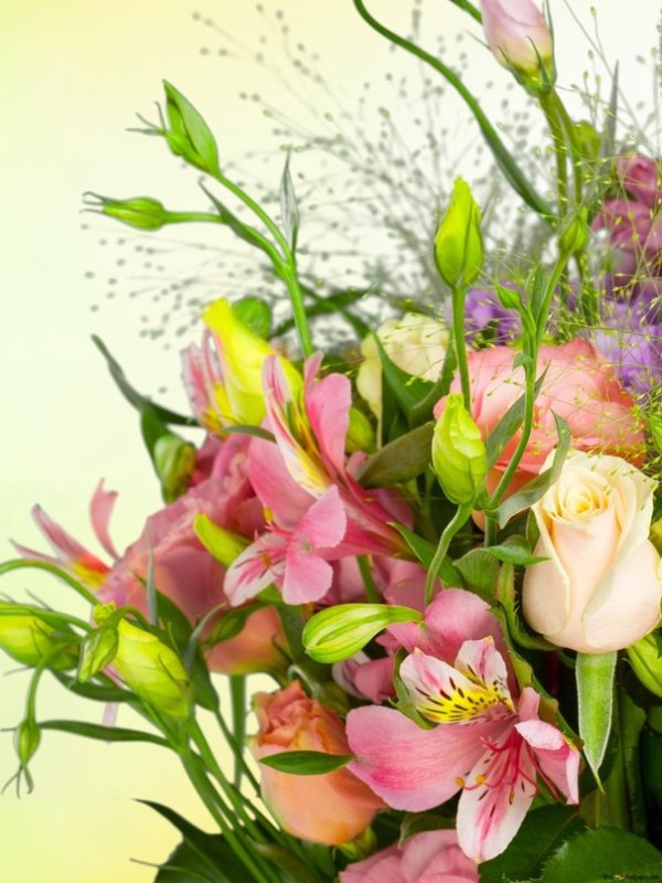 Эустомы цветы