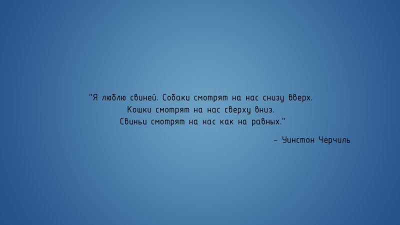 Цитаты на заставку